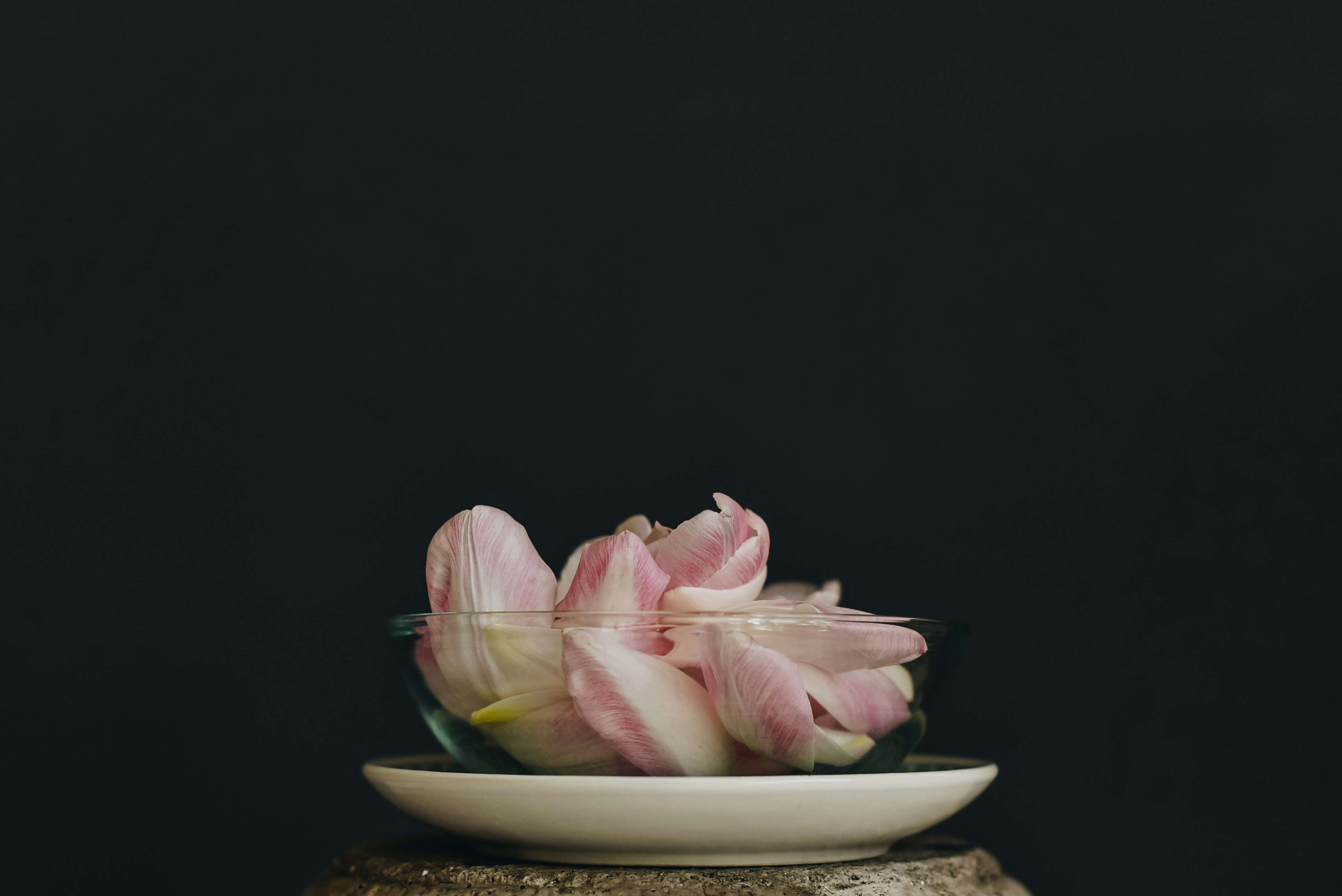 bowl of white petals